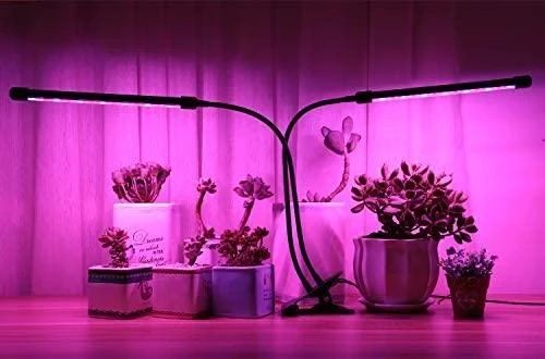 Светодиодная фитолампа для роста растений и рассады ZW-2 Полный спектр 2 головы LED | Зображення 1