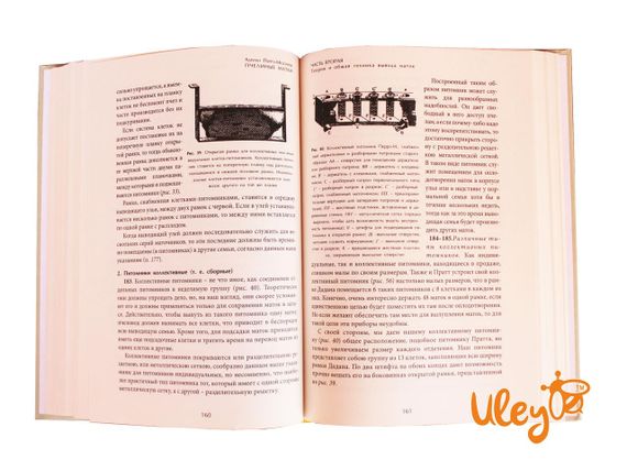 Книга "Пчелиные матки" Адриан Перрэ-Мезонев | Зображення 6
