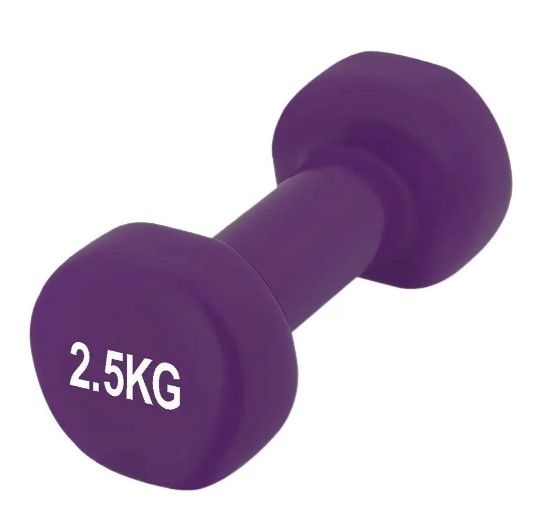 Гантель вінілова PowerPlay 4125 Achilles 2.5 кг Фіолетова 1 шт (PP_4125_2.5kg)