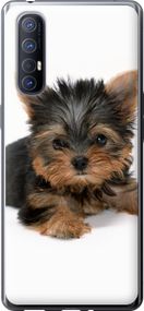 Чехол на Oppo Reno 3 Pro Щенок йоркширского терьера "931u-1878-17620"