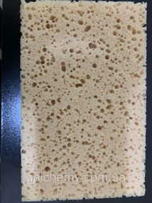 Губка крупнопориста