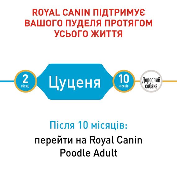 Сухий корм для цуценят породи пудель Royal Canin Poodle Puppy, 500 гр | Зображення 2