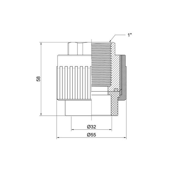 Муфта PPR Thermo Alliance 32х1" ВР | Зображення 1