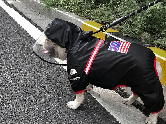 Дощовик для собак з капюшоном dog face чорний M розмір | Зображення 3