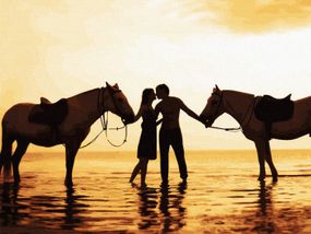 Картина по номерам. Art Craft "Кохання всюди" 40х50 см 10211-АС