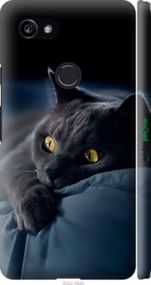 Чохол на Google PixeL 2 XL Димчастий кіт "825m-1643-2448"
