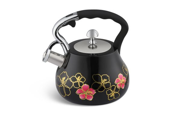 Чайник зі свистком Edenberg EB-8842-Black 3 л чорний