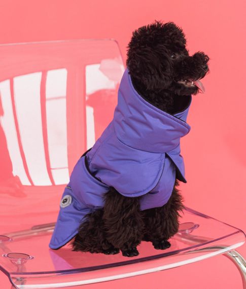 Жилет попона фiолет GP-4 | Зображення 1