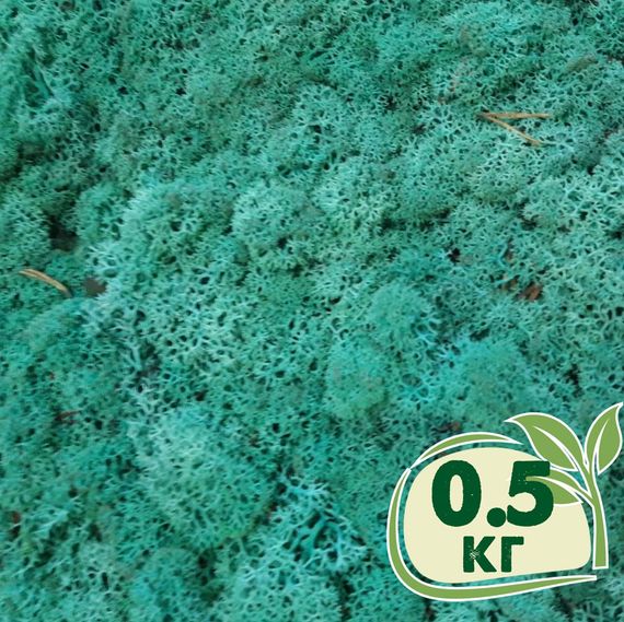 Стабилизированный мох ягель Nordic moss Изумрудный 0,5 кг