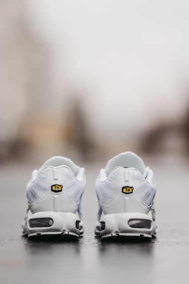 Кросівки N-ike Air Max TN Plus 40 (25.5 см) | Зображення 9