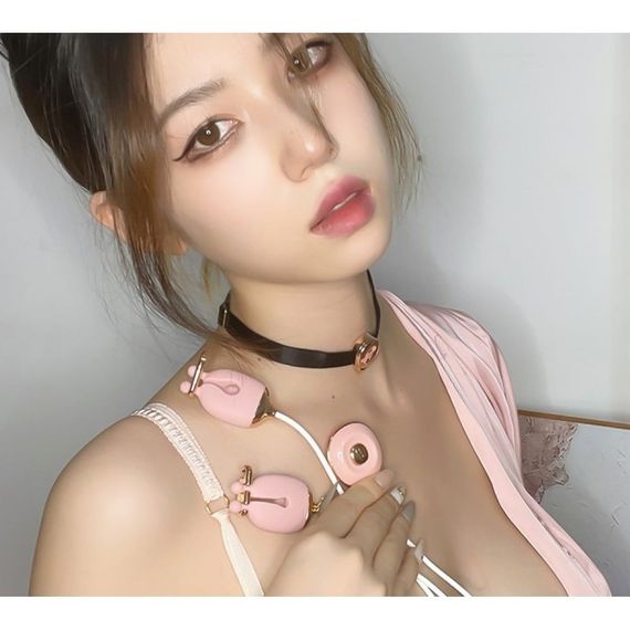 Набор зажимы для сосков с вибрацией и ошейник Qingnan No.2, розовый sexstyle | Зображення 4