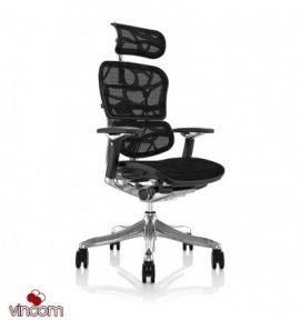 Кресло компьютерное ERGOHUMAN Plus Luxury (EHPL-AB-HAM) Black