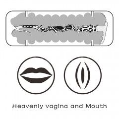 Мастурбатор - Virgin-Skin Blowout Stroker Vagina and Mouth Sex Aura | Зображення 5