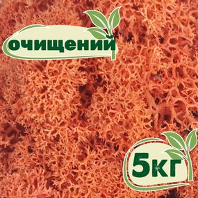 Очищений стабілізований мох ягель Сієна 5 кг