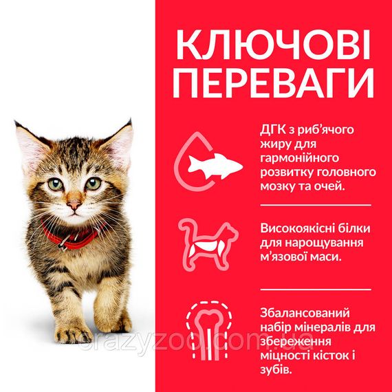 Сухой корм для котят Hill's Kitten Chicken с курицей 1.5 кг 604048 | Зображення 1