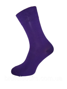 Шкарпетки чоловічі довгі кольорові демісезонні р.41-43 ТМ Twinsocks Фіолетовий