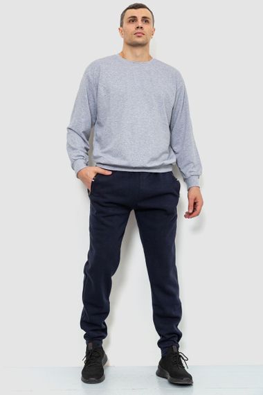 Спорт чоловічі штани на флісі, колір темно-синій, 244R41269 | Зображення 1