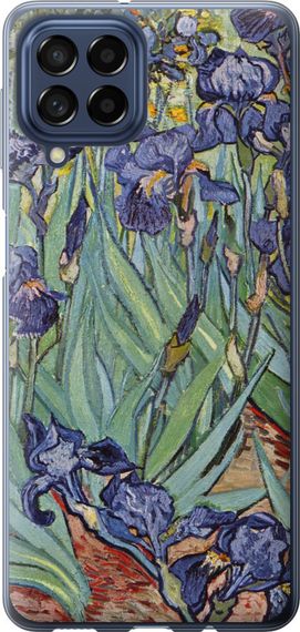 Чехол на Samsung Galaxy M53 M536B Винсент Ван Гог. Ирисы "161u-2608-17620"