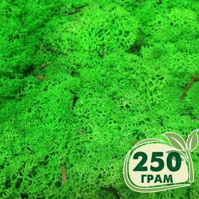 Стабилизированный мох ягель Nordic moss Зеленый травяной светлый 250 грамм