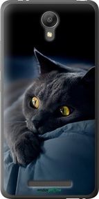 Чохол на Xiaomi Redmi Note 2 Димчастий кіт "825t-96-2448"