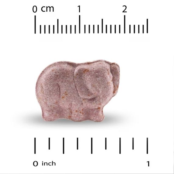 Мультивітаміни з пробіотиками та ферментами для дітей, Multivitamins with Probiotics & Enzymes, California Gold Nutrition, з | Зображення 2