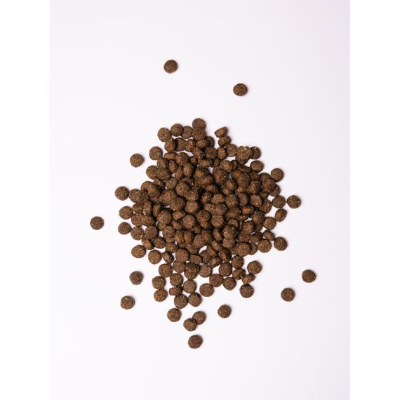 Корм сухий Savory Medium Breed rich in Fresh Turkey and Lamb для дорослих собак середніх порід від 10 до 25 кг зі свіжим ягн | Зображення 1