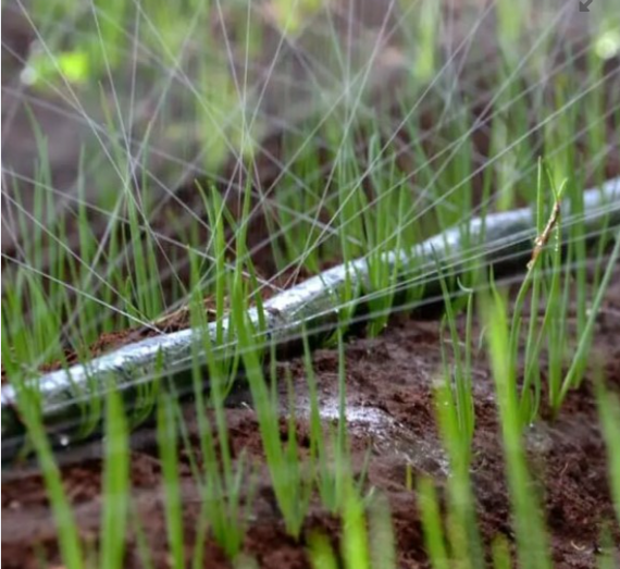 Ремонтне з'єднання 40 мм для спрей-стрічок "Туман" | Зображення 3