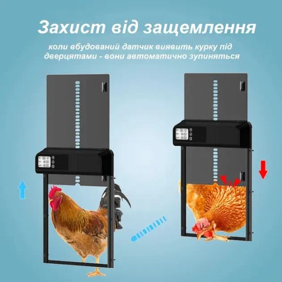 Автоматические двери для курятника с ЖК-дисплеем и таймером, заслонка/ворота для сельскохозяйственных птиц от | Зображення 2