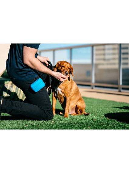 Контейнер для ласощів на пояс Dexas Pooch Pouch, блакитний | Зображення 3