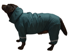 Дощовик для великих собак смарагд MB-1