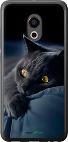 Чохол на Meizu Pro 6 Димчастий кіт "825t-293-2448"