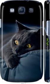Чохол на Samsung Galaxy S3 Duos I9300i Димчастий кіт "825m-50-2448"