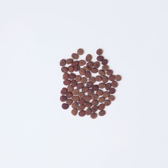 Корм сухий Carnilove True Fresh Cat Fresh Fish для дорослих котів з рибою 4,8 кг | Зображення 1