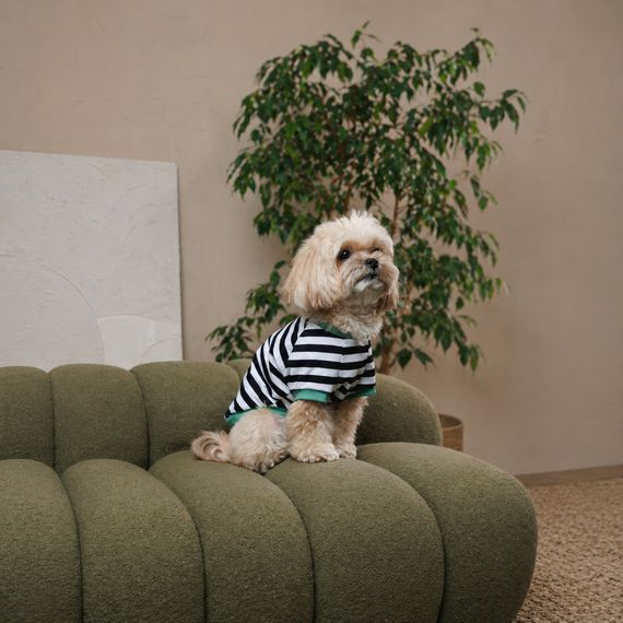 Футболка Pet Fashion Breeze для собак XХS | Зображення 2