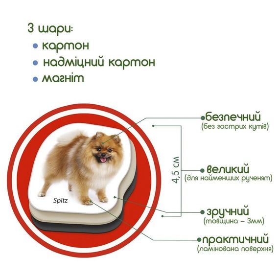 Дитячий розвиваючий набір магнітів "Породи собак" ML4031-20EN 24 фотомагніти | Зображення 3