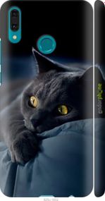 Чохол на Huawei Y9 2019 Димчастий кіт "825m-1602-2448"