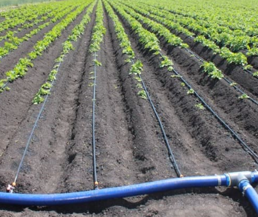 Резинка для стартового крана капельного полива | Зображення 3