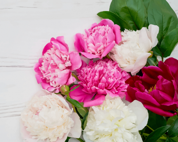 Картина по номерам. Art Craft "Пионовая фиеста" 40х50 см 13107-AC