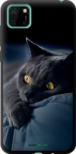Чохол на Huawei Y5p Димчастий кіт "825b-1936-2448"