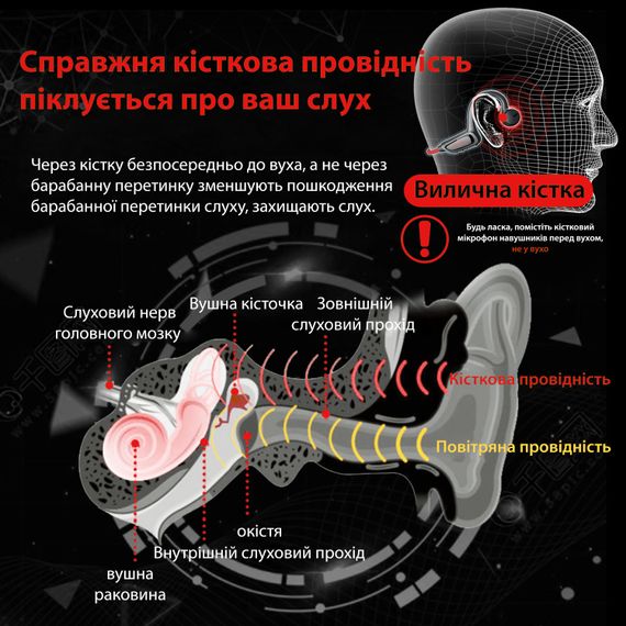 Бездротова Стерео Гарнітура Borofone BE33 Rhyme TWS (38915-01_769) | Зображення 5