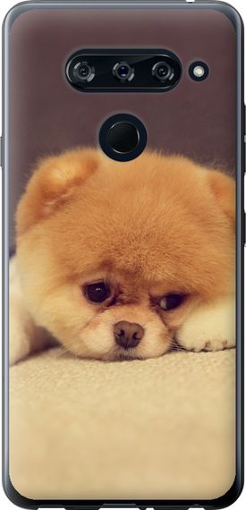 Чехол на LG V40 ThinQ Boo 2 "890u-1577-17620"