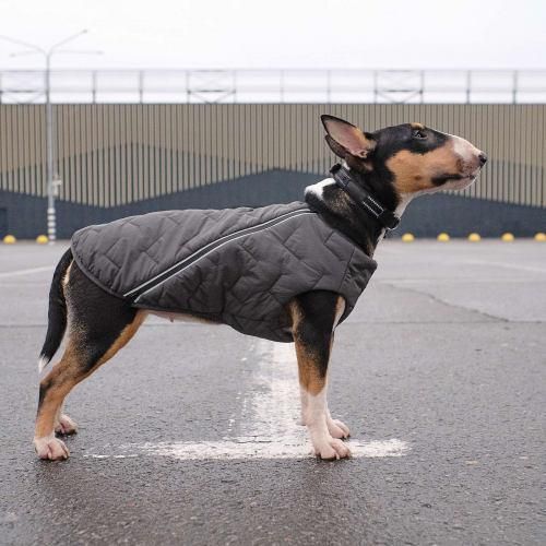 Жилет Pet Fashion «E.Vest» для собак, размер XS2, серый | Зображення 5