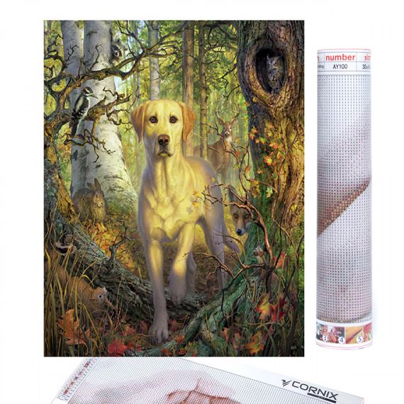 Набір алмазної мозаїки (вишивки) Cornix Art 40 x 30 см AY31