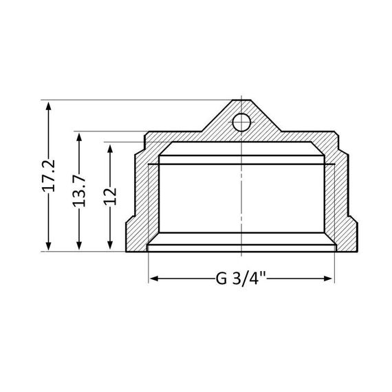 Заглушка Thermo Alliance Standart 3/4" ВР SD40220 | Зображення 1