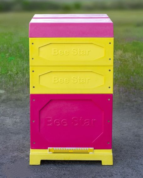 Вулик ППУ “BeeStar” (1 корпус Дадан 300 мм + 2 магазин на 10 рамок) – кольоровий | Зображення 3