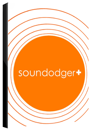 Soundodger Steam Key GLOBAL