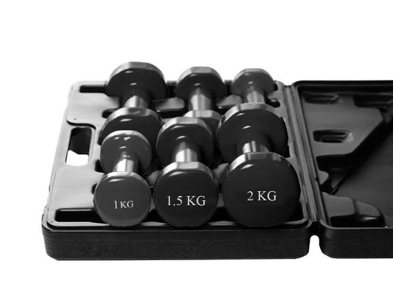 Набір гантелей в кейсі 9 кг. PowerPlay 4121 Fitness Dumbells (2 шт*1 кг, 2 шт*1,5 кг, 2 шт*2 кг) (PP_4121_9kg) | Зображення 2