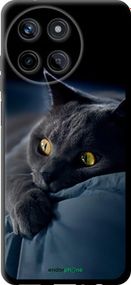 Чохол на Realme Realme 11 Димчастий кіт "825b-3120-2448"