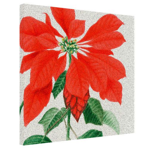 Картина на холсте Рождественник 50x50 см (H5050_15NG006)