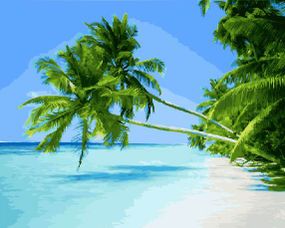 Пальмы на берегу океана